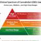 Clinical Spectrum of Cannabidiol