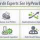 How do Experts See HyPearls
