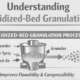 Understanding Fluidized-Bed Granulation-thumbnail-sw